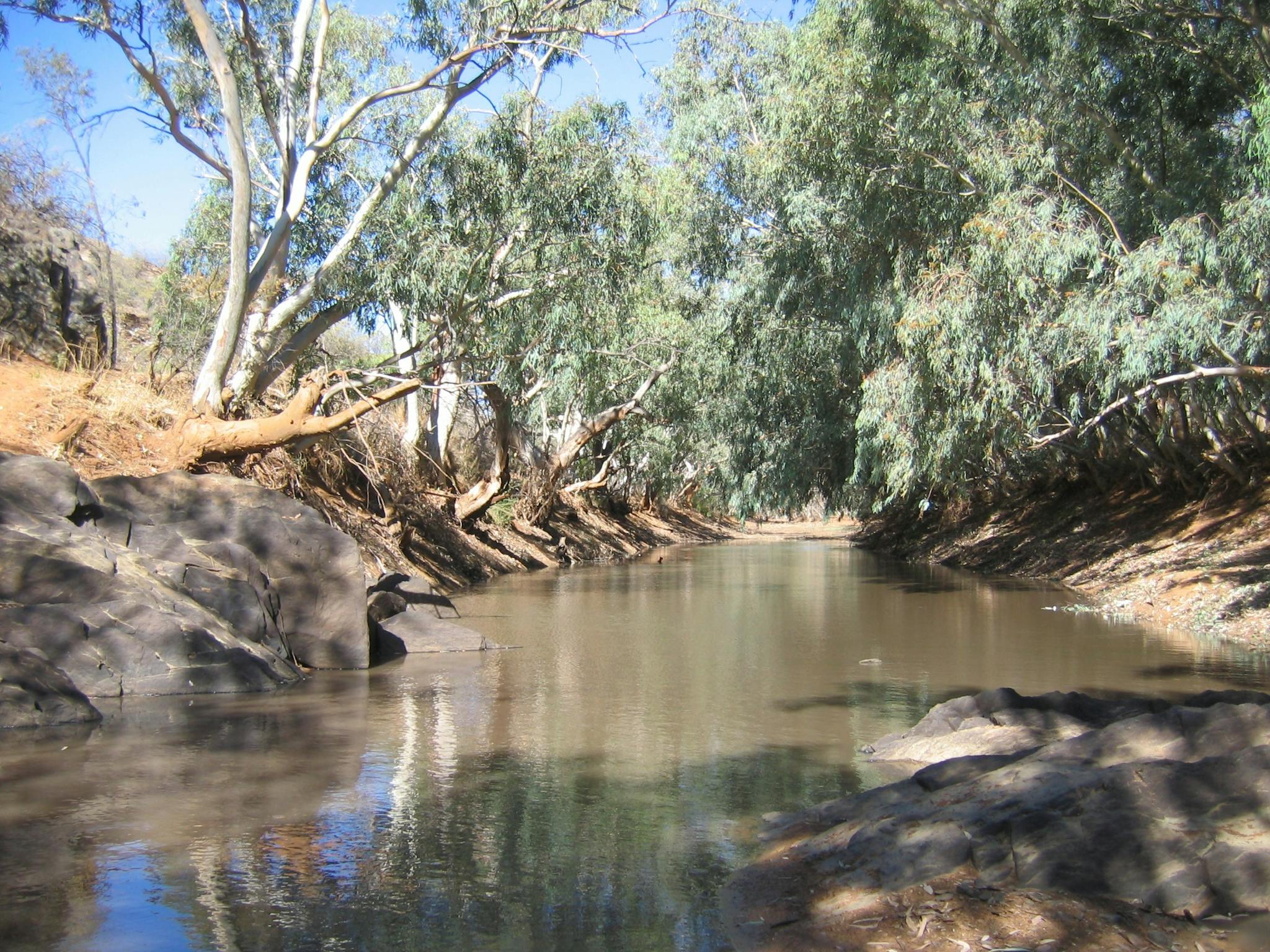 Sturt's Waterhole