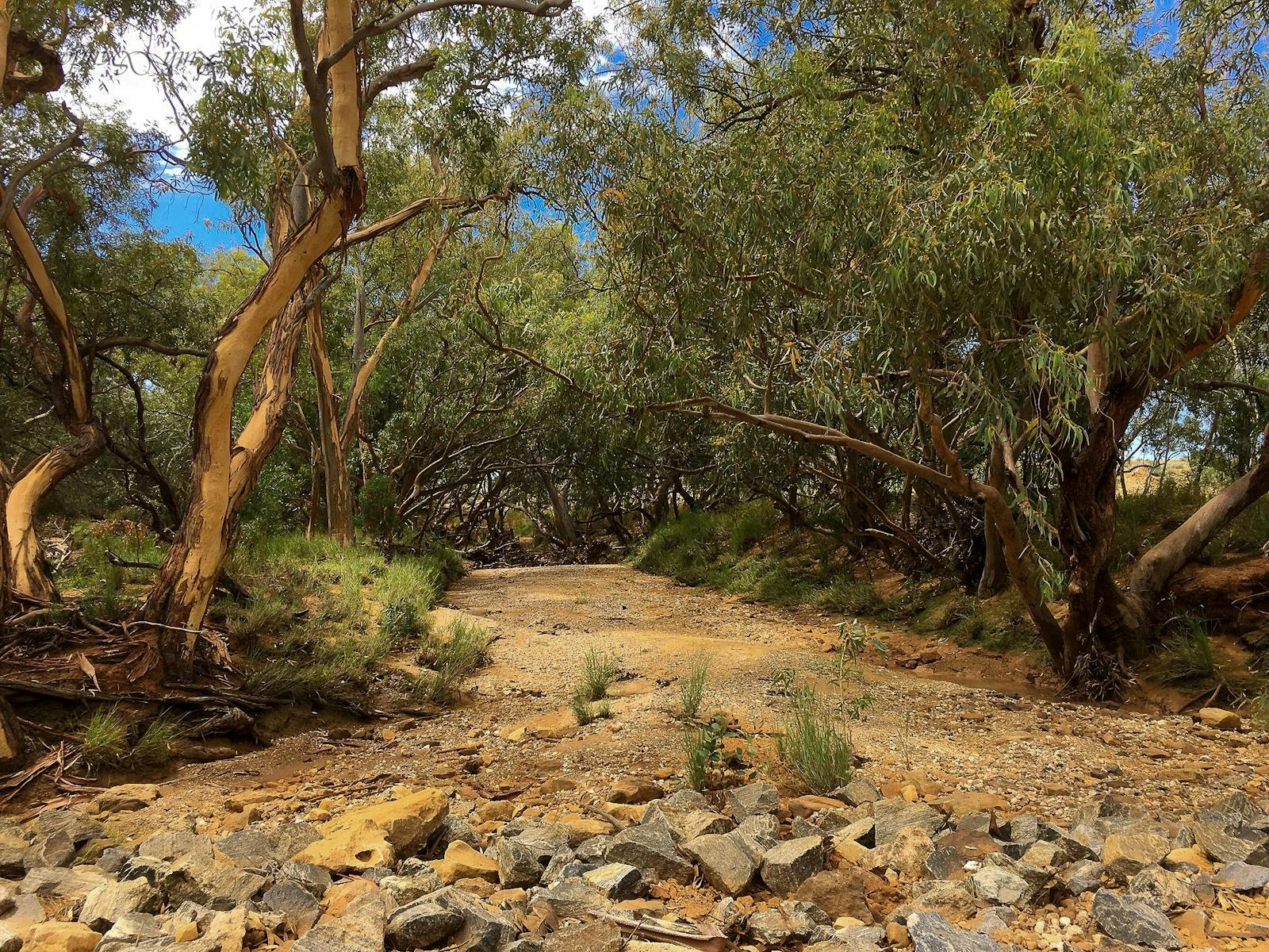 Dry bed of Evelyn Creek