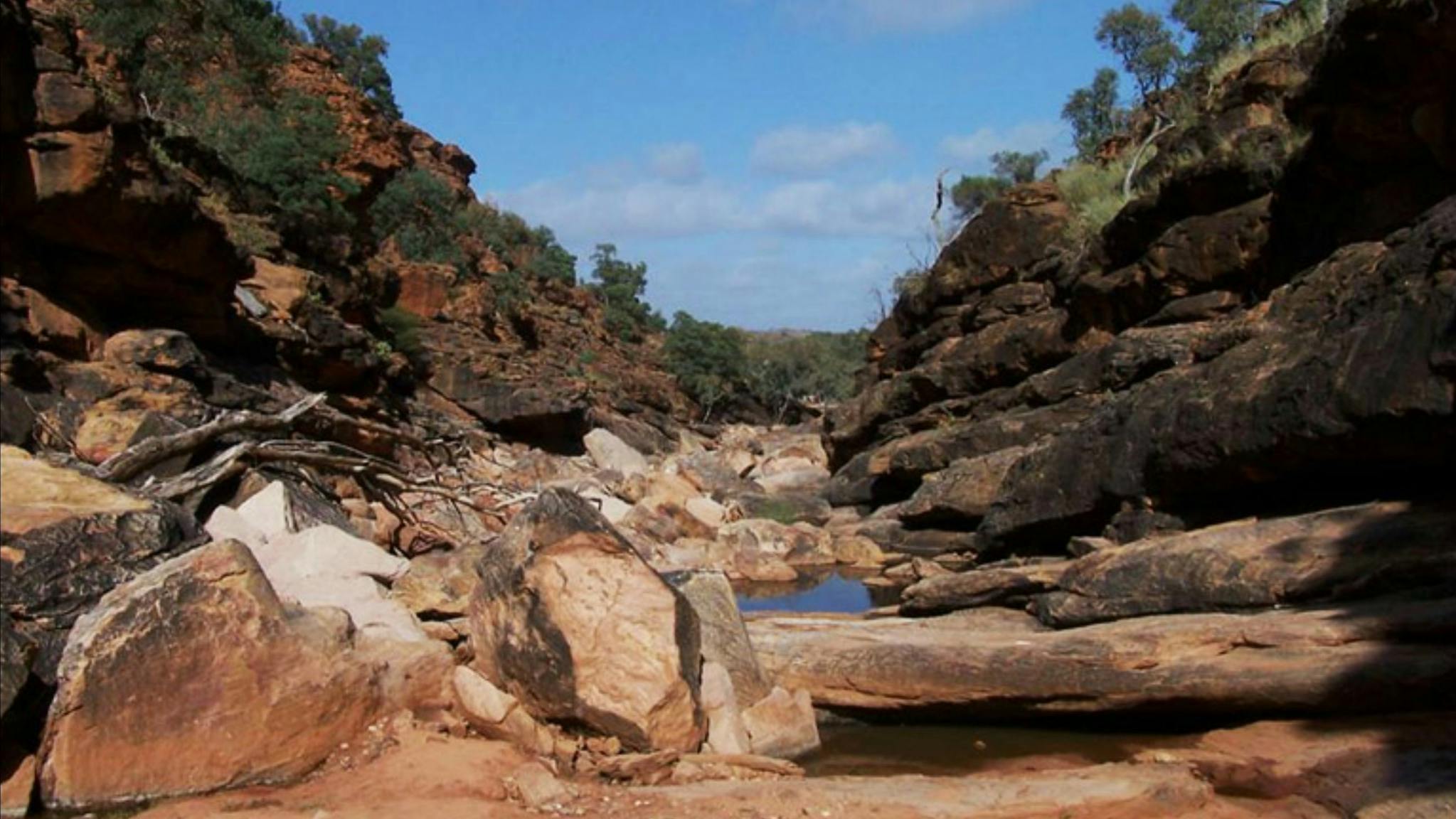 Homestead Gorge trail